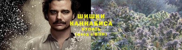 ALPHA-PVP Алексеевка