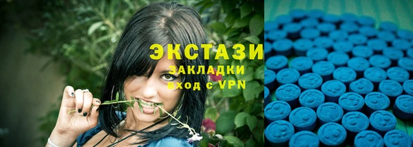 apvp Алзамай