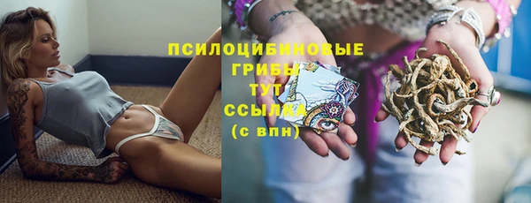 стаф Алексин