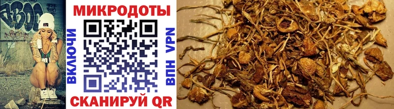 Галлюциногенные грибы мицелий  Аксай 